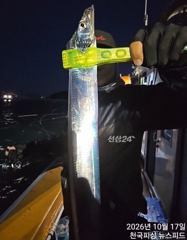[진해] 내만갈치내일금토일예약가능합니다
