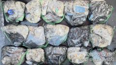 [먹물조황] 10/22 쭈꾸미 갑오징어 조황