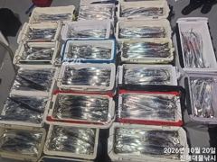 우와~,내만칼치 3지4지까지씨알최고 용가리어마어마초대박~,금,토,일욜예약중