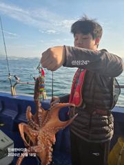 [진해] [진해문어낚시] 굵직굵직 손맛 끝내주는 돌문어 찐한 손맛보러 계…