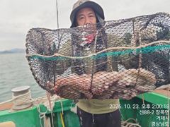 [진해] 23일세진호/돌문어오늘도대박kg.마릿수많이~일.가능~