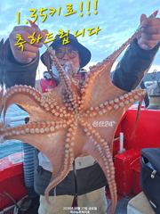 23일(금)느나쭈꾸미조황!!!다음주평일 자리여유ㅡ선비6만원