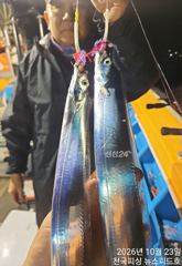 내만갈치실시간씨알굿굿(내일예약가능)