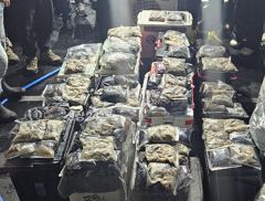 2026년10월23일(4물) 까치선장 자이언트호 쭈/갑 굿 조황