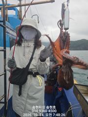 [통영] 통영 송현호))실시간 돌문어 킬로오버 킬로급들 연타로 히트!