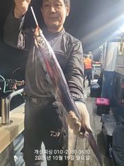 [진해] 내만 3지급 느나느나 내만 은빛 갈치 조황 오늘 무조건 출항 자…