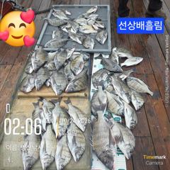 병산 감성돔43,42,4짜외마리수 선상배&선외기흘림(우중속의조황)
