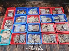 [진해] 윤피싱 쭈꾸미, 갑오징어 조황~