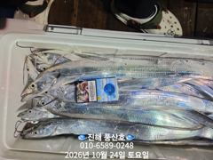 (풍산)내만갈치~용가리~1타2피~느나느나~(예약가능합니다)