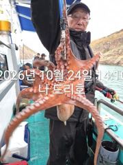 24일, 군산 갑오징어~싸이즈 굿~연일 빅히트~망탱이 굿~~내일도 갑니다~군산낚시프라자 챔피언호