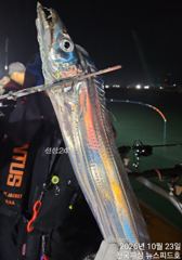 [진해] 준내만수요일부터다시달립니다
