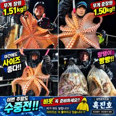삼천포문어낚시｜폭우 속 야간 수중전!! 마릿수는 줄어도 사이즈는 커졌다 #흑진호 #삼천포박프로