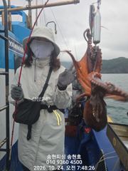 통영 송현호))왕문어들로 봉다리마다 빵빵하게 채웠습니다