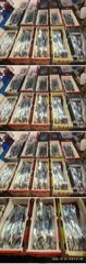 [통영] 통영비너스....7지 인셍고기 3.5지 외 알지 마리수 쿨러 …