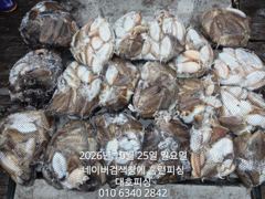 군산 대호피싱 10월25일 갑오징어 마무리 소식 전합니다