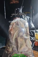 24일 씨알 좋은 야간 문어 조황 사진