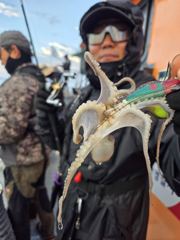 어제입니다.