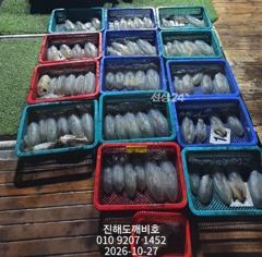 팁런무늬오징어 10월 26일 월요일 출조 조황입니다