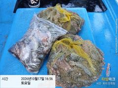 삼천포 문어낚시 이번주 토요일 출조!! 4자리 여유 됩니다 사진
