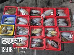[팁런]k,k,, 좋으날씨,출항 합니다(수요일,소수인원,출항확정)