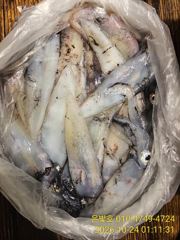 [진해] 갈치텐빈 대치로 쿨러도장!! 수요일부터 예약가능