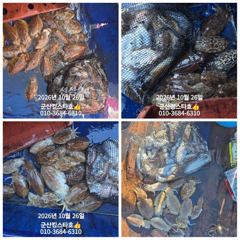 [군산] 110/29~30갑오징어출조(예약가능)군산킹스타호에서~