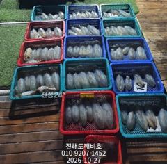 팁런무늬오징어 오늘날씨좋습니다 자리여유많습니다