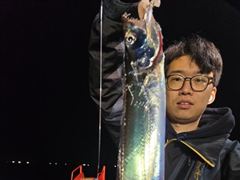 29일.준내만갈치~씨알급들까지 이만큼씩~금요일/일요일부터 예약가능합니다