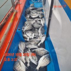 호미르호. 찌낚
