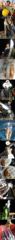 [통영] 통영세린호 29일 대마골 드디어 대갈치 시작 내일 몇자리가능