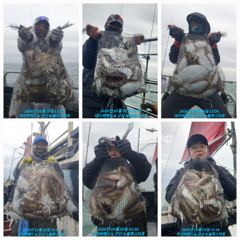 26시즌 10월 29일 군산 앞 바다 클라스 46일차 찰 갑오징어 마릿수 조황.