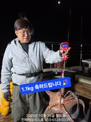 문어] 일요일 주간(오전7시출항) 출항확정 예약가능~ 일욜도 고고!!~