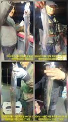 대양호 선상낚시 조황