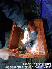 대물무늬들 만나고 조금전 입항하였습니다.
