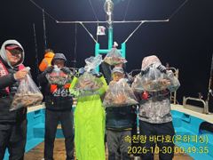 [진해] 내만 문어 야간소수인원 출조 조황 살아 나고 사이즈 좋아 묵직합…