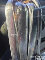 내만칼치3지4지용가리대박~엄청나게잡고씨알대박.금,일,월욜예약가능~