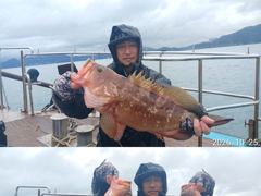 "" 돌문어 "" 큰넘들이 제법...(내일예약가능)