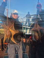 10/30일 군산아리랑호 문어 조황입니다