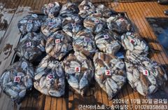 ♡어비스호~ 30일 갑오징어 굿굿 조황~♡