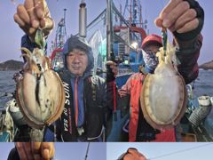 크라운호 갑오징어 실시간 조황(31일)