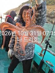 31일, 군산 덩치급 문어~오늘도 스타트~실시간~매일출조~군산낚시프라자 나드리호