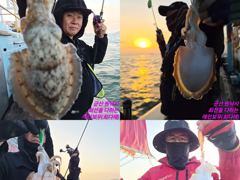 레인보우호 갑오징어 실시간 조황(31일)