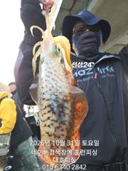 군산 대호피싱 10월31일 화장을한 오징어