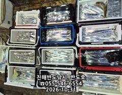 [진해] 31일,내만갈치,커진 씨알로 손맛 보고,내일출항(일,월~예약가능…