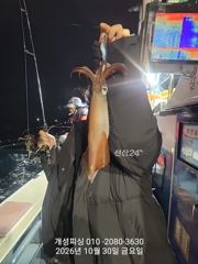 준내만 텐빈 은빛 갈치 3지급 느나느나 조황!! 내일 무조건 출항 자리여유많음