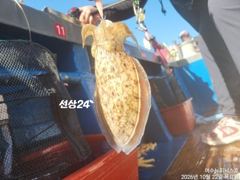 <여수뉴피닉스호> 왕주꾸미출조ㅡ 월,화(2일/3일) 자리많습니다. 황제낚시가능