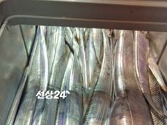 경동호 먼바다왕갈치외줄 16석. 대마도멀리수심깊은곳다녀왔어요.월…