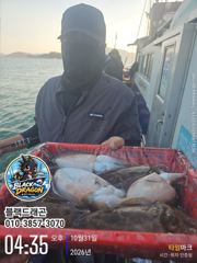 10/31 블랙드래곤 갑오징어 꾸준히 ^^
